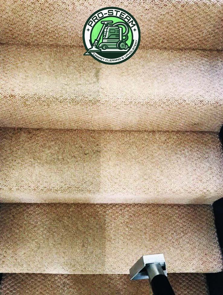 WhatsApp Image 2026-01-14 at 3.42.18 PM (1)