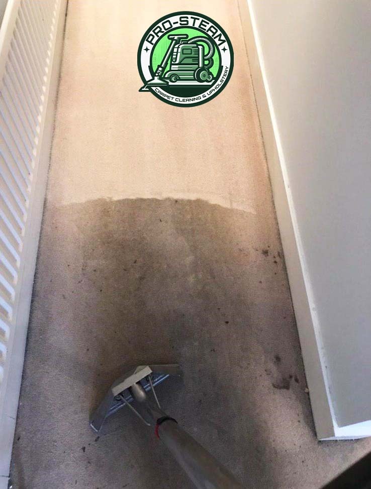 WhatsApp Image 2026-01-14 at 3.42.19 PM (2)